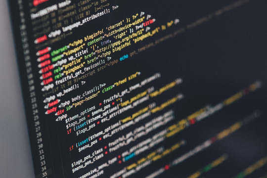 developer programmer
