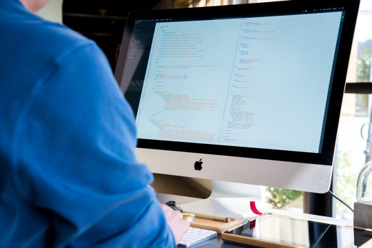 developer programmer